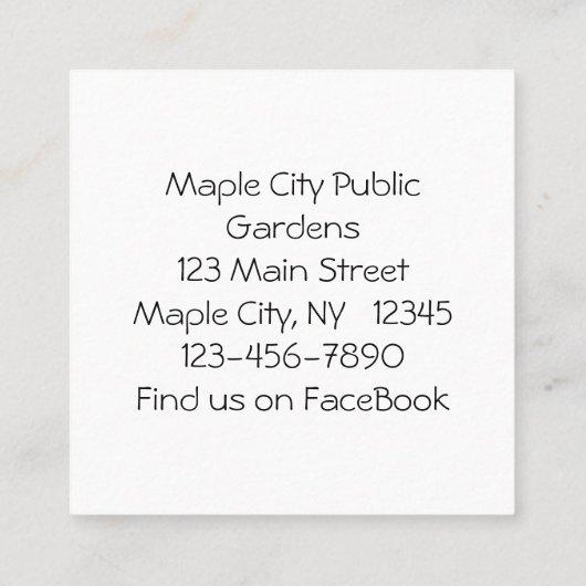 Geschilderd Trillium Spring Wildflower Visitekaart Vierkante Visitekaartje (Achterkant)