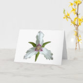 Geschilderd Trillium Spring Wildflower Wenskaart Kaart (Gele Bloem)