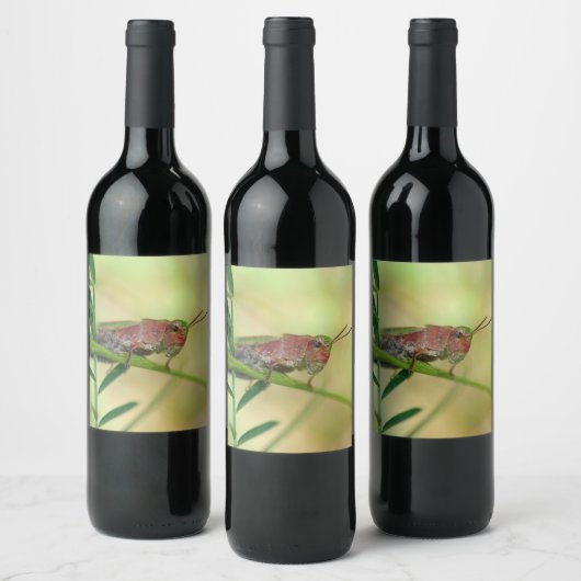Geschilderd weide Grasshopper Wijnlabel Wijn Etiket (Flessen)