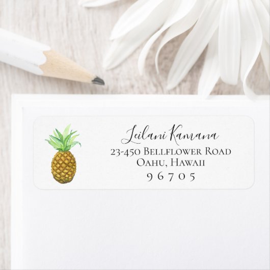 Geschilderde ananas retouradres labels (Insitu)