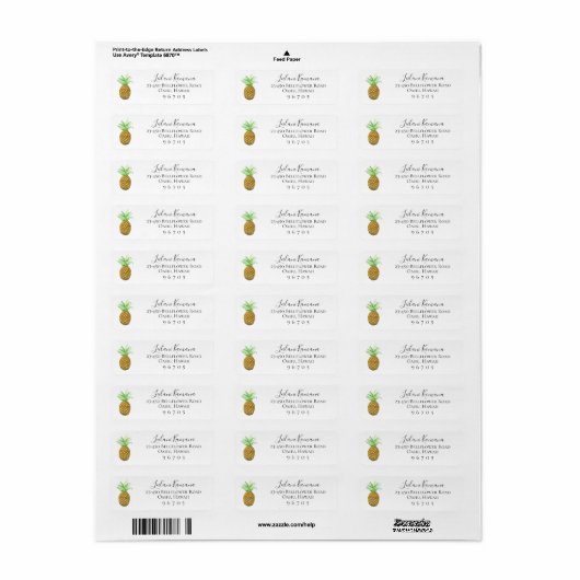 Geschilderde ananas retouradres labels (Full Sheet)