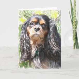 Geschilderde Arrogante Koning Charles Spaniel Kaart