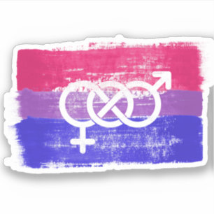 GESCHILDERDE BISEKSUELE SYBOOL TROTS VLAG STICKER