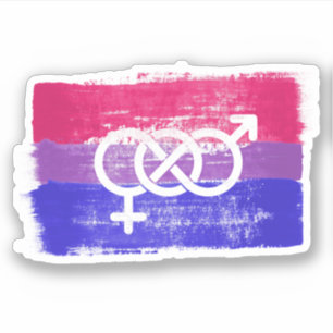 GESCHILDERDE BISEKSUELE SYMBOOL PRIDE VLAG STICKER
