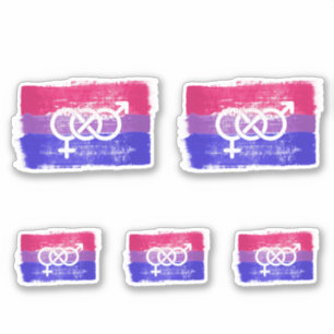 GESCHILDERDE BISEKSUELE SYMBOOL PRIDE VLAG STICKER
