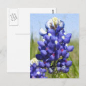 "Geschilderde" Bluebonnet Briefkaart (Voorkant / Achterkant)