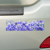 Geschilderde Bluebonnet Lange Sticker (Op auto)