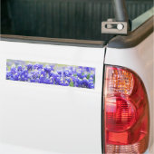Geschilderde Bluebonnet Lange Sticker (Op Truck)