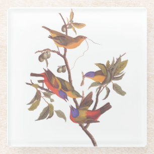 Geschilderde Bunting Audubon Vogels in Wild Fruit  Glazen Onderzetter