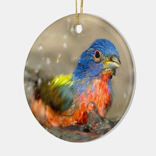 Geschilderde bunting - mooie vogelsierbloemen keramisch ornament (Links)