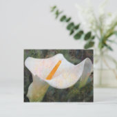 Geschilderde Calla Lily Horizontale Briefkaart (Staand voorkant)