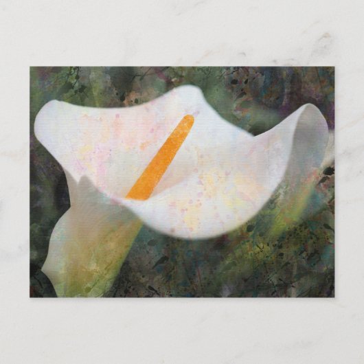 Geschilderde Calla Lily Horizontale Briefkaart (Voorkant)