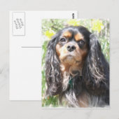 Geschilderde Cavalier King Charles Spaniel Briefkaart (Voorkant / Achterkant)