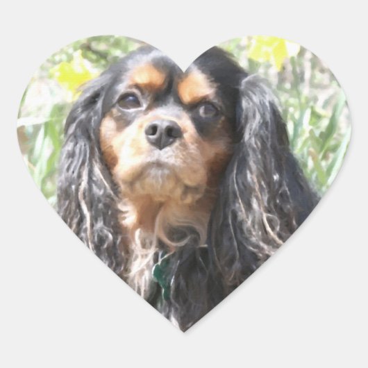Geschilderde Cavalier King Charles Spaniel Hart Sticker (Voorkant)