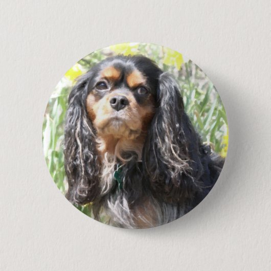 Geschilderde Cavalier King Charles Spaniel Ronde Button 5,7 Cm (Voorkant)