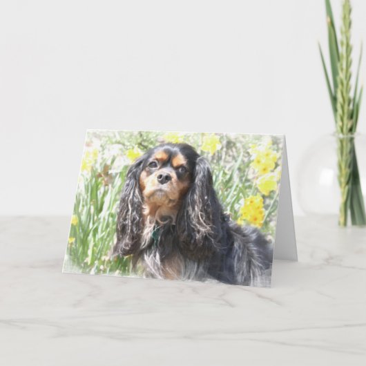 Geschilderde Cavalier King Charles Spaniel Welkoms Kaart (Voorkant)