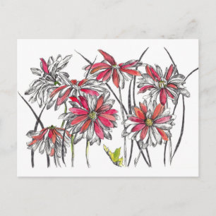 Geschilderde Daisy Bloemen Botanische Kunst Inktte Briefkaart