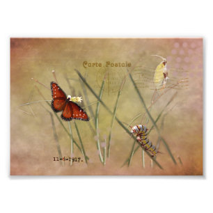 Geschilderde Dame Mixed Media Foto Afdruk