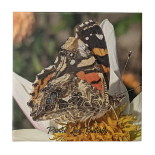 Geschilderde Dame Vlinder Natuur Foto Tegeltje