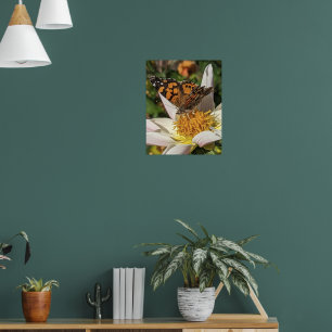 Geschilderde Dame Vlinder op Witte Dahlia Poster