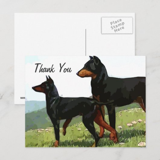  geschilderde doberman dank u briefkaart (Voorkant / Achterkant)