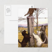  geschilderde doodsbannen met briefkaart van een k (Voorkant / Achterkant)