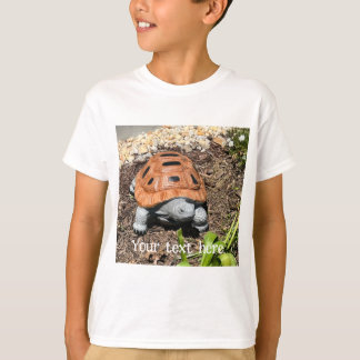 Geschilderde doos schildpad, in tuin, op maat gema t-shirt