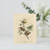 Geschilderde Finch (Bunting) Audubon's vogels in A Briefkaart (Staand voorkant)