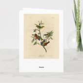 Geschilderde Finch (Bunting) Audubon's vogels in A Kaart (Achterkant)