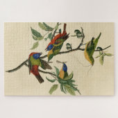 Geschilderde Finch (Bunting) Audubon's vogels in A Legpuzzel (Horizontaal)