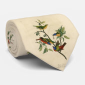 Geschilderde Finch (Bunting) Audubon's vogels in A Stropdas (Opgerold)