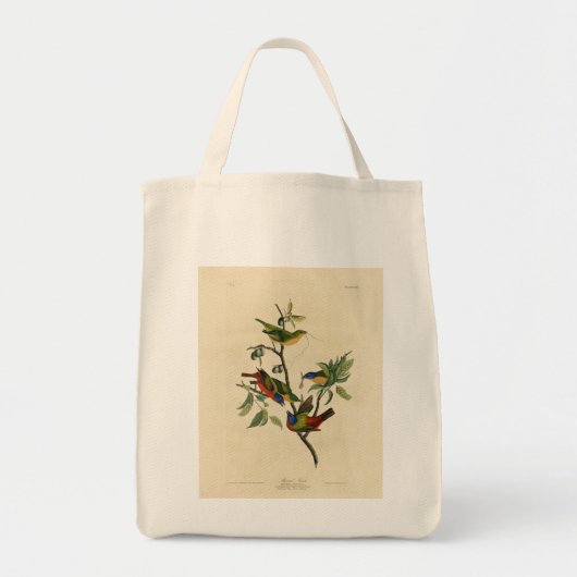 Geschilderde Finch (Bunting) Audubon's vogels in A Tote Bag (Voorkant)