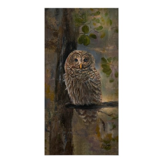 Geschilderde Gestreepte Uil 35,5 x 71 cm Perfect Poster (Voorkant)