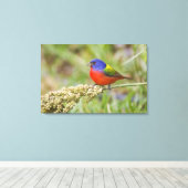 Geschilderde Gors (Passerian ciris) mannetje dat g Canvas Afdruk (Insitu (Houten vloer))