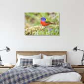 Geschilderde Gors (Passerian ciris) mannetje dat g Canvas Afdruk (Insitu (Slaapkamer))