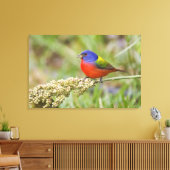Geschilderde Gors (Passerian ciris) mannetje dat g Canvas Afdruk (Insitu (Woonkamer))