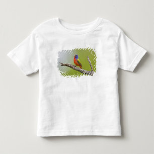 Geschilderde Gors Passerina ciris) mannetje zingt Kinder Shirts
