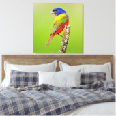 Geschilderde Gors (Passerina ciris) mannetje zit Canvas Afdruk (Insitu (Slaapkamer))