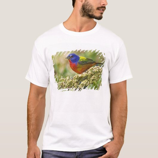 Geschilderde Gors T-shirt (Voorkant)