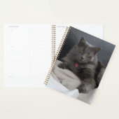 Geschilderde Grijze Kat voor de Kattenliefhebber Planner (Display)