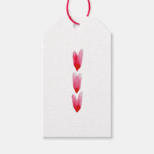 Geschilderde Hartjes Cadeaubijsluiters (set van 10