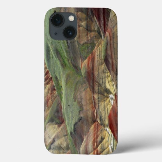 Geschilderde heuvels, John Day Fossil Beds, Mitche Case-Mate iPhone Case (Achterkant)