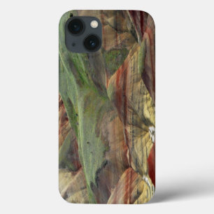 Geschilderde heuvels, John Day Fossil Beds, Mitche iPhone 13 Hoesje