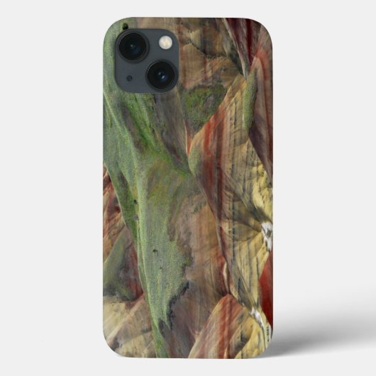 Geschilderde heuvels, John Day Fossil Beds, Mitche Case-Mate iPhone Case (Achterkant)