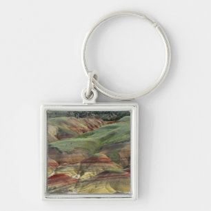 Geschilderde Heuvels, John Day Fossil Beds, Mitche Sleutelhanger