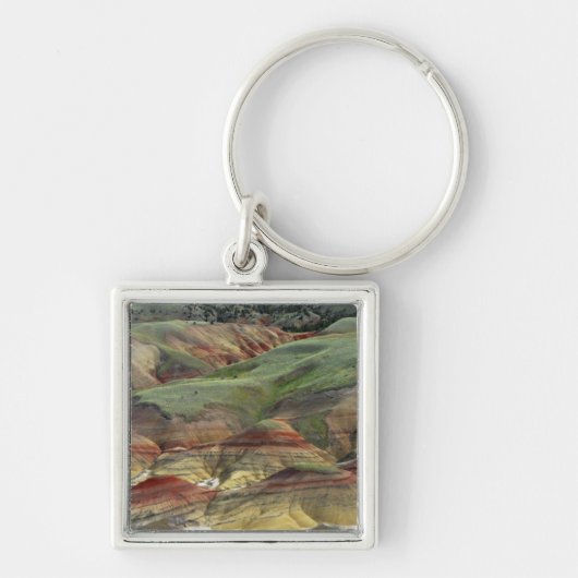 Geschilderde Heuvels, John Day Fossil Beds, Mitche Sleutelhanger (Voorkant)