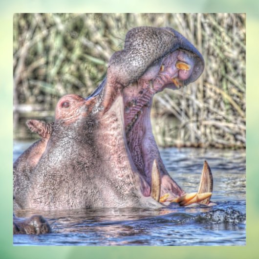 geschilderde hippo raamsticker (Vel 3)