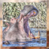 geschilderde hippo raamsticker (Vel 2)