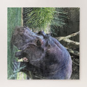 geschilderde hippopotamus legpuzzel (Horizontaal)