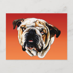 Geschilderde hond briefkaart